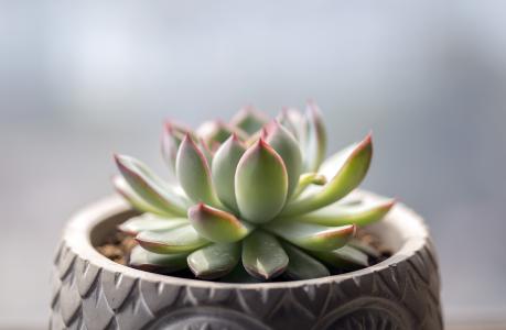 ŷ»׼202111ʱִӢŷЭ