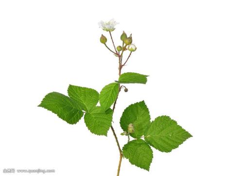 һܲƾ:ծȯͨƿɴ йڿһ